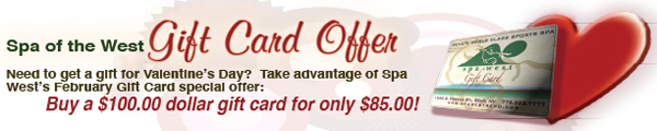 Buy a $100.00 dollar gift card for only $85.00!