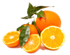 clementine lotion applied to the hands and feet
